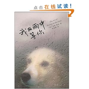 我在雨中等你\/加思·斯坦(Stein.Garth)-图书-亚马逊中国 [巴别塔之犬]