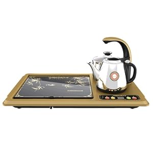 怎样选购电动产品 41IsQTB%2BL-L._SL500_AA300_.jpg