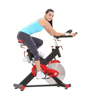 Rido 力动 X7 动感单车 家用静音健身车 减肥运