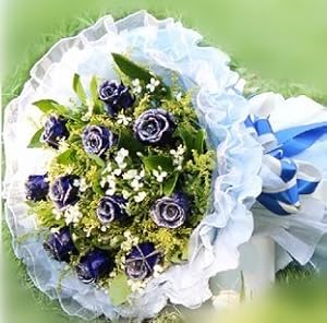 中雅芳菲FRAGRANCE鲜花速递 24枝蓝色妖姬