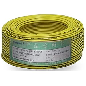 TBEA 特变电工 鲁能泰山电线电缆 BV4平方铜