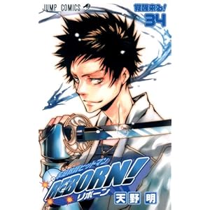 家庭教师ヒットマンREBORN! 34\/天野 明-图书