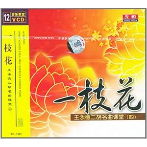 一枝花:王永德二胡名曲课堂4(12VCD)
