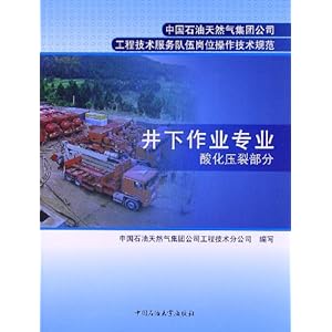 中国石油天然气集团公司工程技术服务队伍岗位