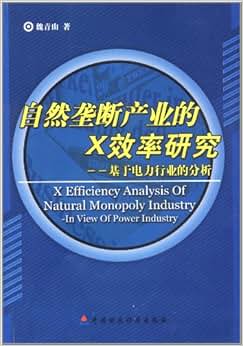 《自然垄断产业的X效率研究:基于电力行业的分