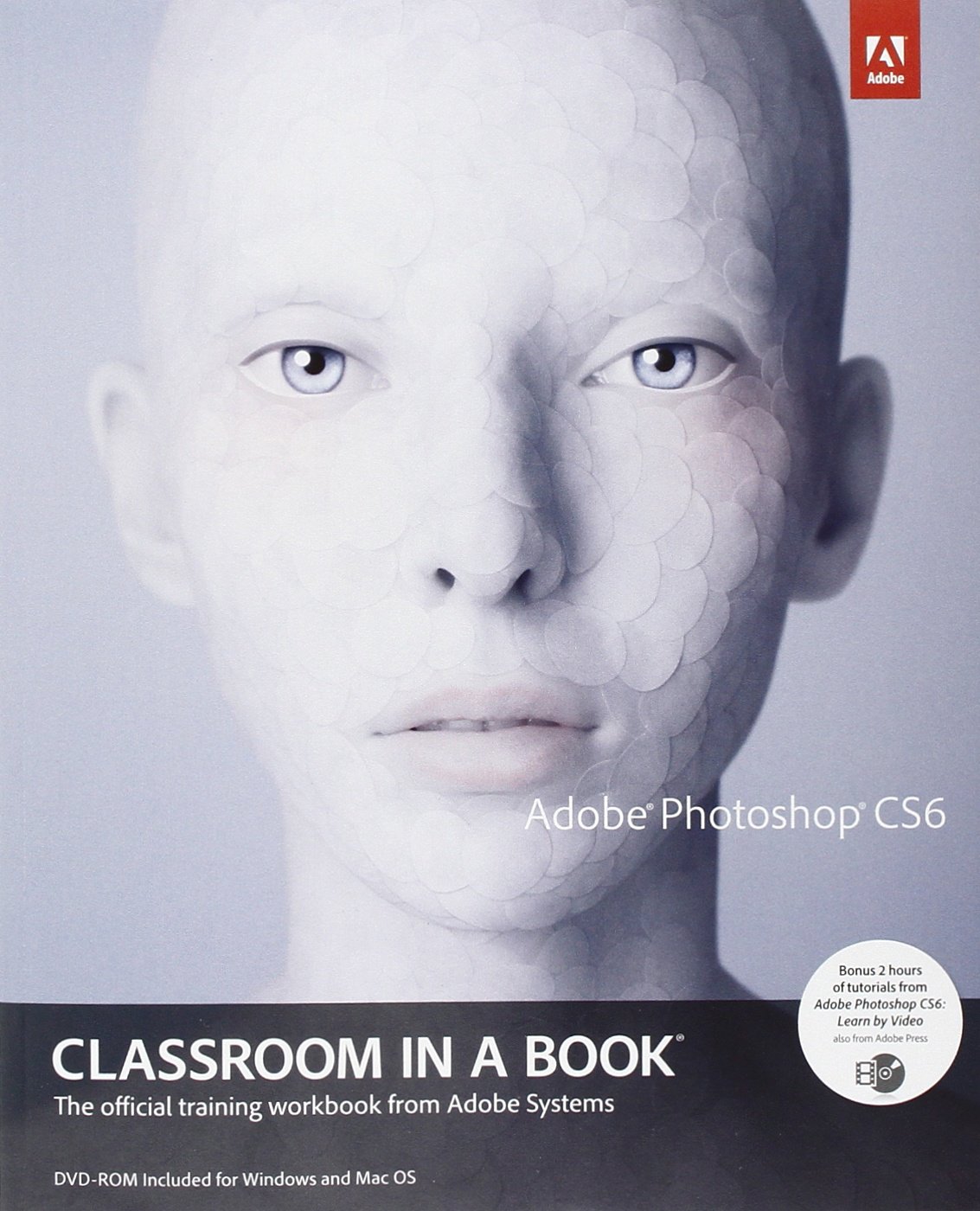 Adobe Photoshop CS6 Classroom in a Book:亚